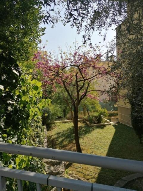 Apartment Villa Soraya , Quiet Location With Big Garden Near Beach And Old Town Of Nice Nizza