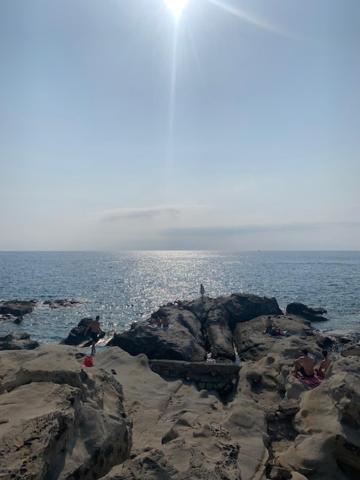 Soraya , Quiet Location With Big Garden Near And Old Town Of Nizza