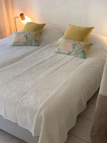 Soraya , Quiet Location With Big Garden Near And Old Town Of * Nizza